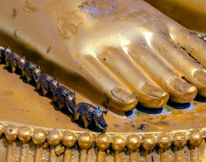 img_20181006_1111381